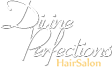 Divine Perfections Logo